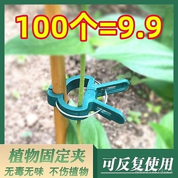 有貨在臺🚀99免運🚀植物夾園林夾子番茄黃瓜西紅柿花卉爬藤夾塑料園藝枝條支撐工具夾
