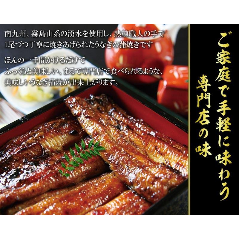 うなぎ 蒲焼き 国産 ギフト 鰻 うなぎ蒲焼き 九州産 1尾 大(約160g前後×1尾) 宮崎・鹿児島県産 うなぎ 同梱6尾で送料無料に