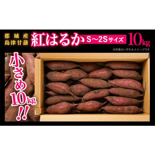 ふるさと納税 宮崎県 都城市 島津甘藷　熟成紅はるか 10kg(S〜2S)_AA-A701-m_(都城市) 島津甘藷 紅はるか 10kg サイズ未選別 Ｓ〜２Ｓ