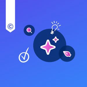 Brand Identity Design in Canva