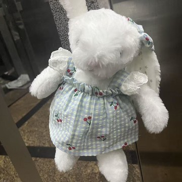 🥇玩偶替換服裝 適用 31cm 邦尼兔子 36 釐米安撫兔子 款式多樣公主裙套裝