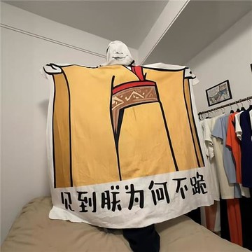 見到朕為何不跪毛毯宿舍椅子毯子皇帝龍圖異型搞怪午睡毯子送朋友