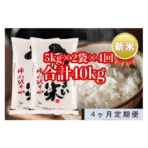 ふるさと納税 北海道 雨竜町 うりゅう米「ゆめぴりか」5kg×2袋 定期便！毎月1回・計4回お届け