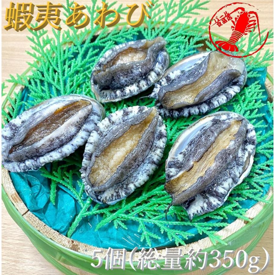 (活)蝦夷あわび5個(総量約350g)