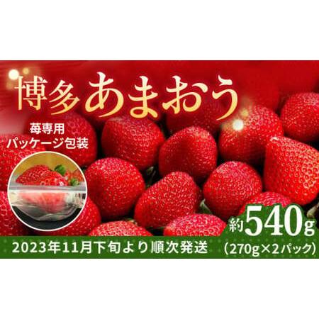 ふるさと納税 農家直送 朝採り新鮮いちご約270g×2パック＜株式会社HFutures＞ 那珂川市 .. 福岡県那珂川市