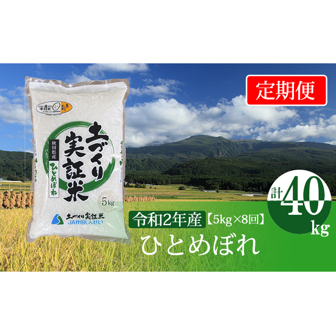 米 定期便 5kg 8ヶ月 令和5年 ひとめぼれ 5kg×8回 計40kg 精米 白米 ※毎年11月より新米