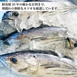 ふるさと納税 カツオ タタキ セット 冷凍 鰹 カツオのたたき 高知県 須崎市 高知県須崎市