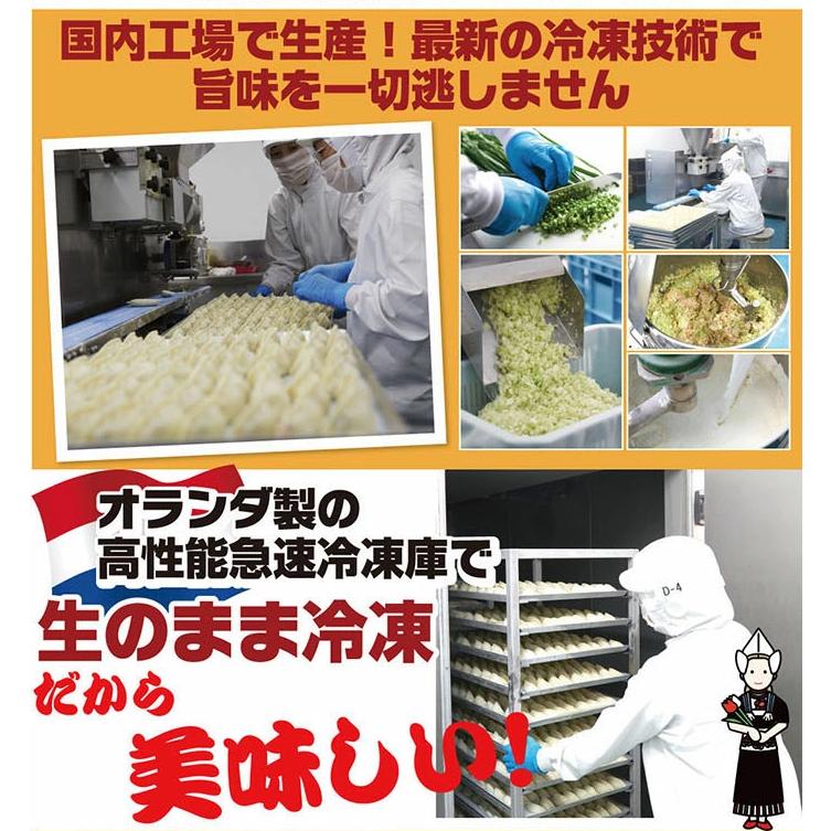 もちもち国産ジャンボ水餃子40個＆もちもち海老水餃子40個セット 大きい ぷりぷり 水餃子 冷凍餃子 餃子 海老 エビ えび 国産豚肉 おかず おつまみ ギョーザ