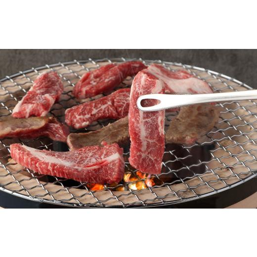 ふるさと納税 熊本県 合志市 あか牛 焼肉用 カルビ 500g 牛肉 お肉 熊本県産 国産