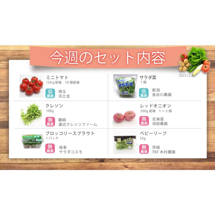 旬の野菜 野菜セット 無農薬 低農薬 こだわり サラダ野菜セット6品目　送料込 旬 ギフト 贈り物 プレゼント お取り寄せ お中元 お歳暮