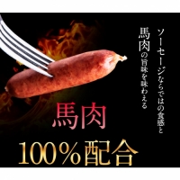 馬肉100%ソーセージ 2kg (500g×4袋) 《1-5営業日以内に順次出荷(土日祝除く)》 肉 馬肉 ソーセージ 2kg 熊本県長洲町