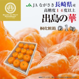 [予約 2023年 12月15日頃から発送] 出島の華 みかん 約1kg 長崎県 桐箱 JAながさき 高糖度 長崎 ミカン 高級 高品位 冬ギフト お歳暮 御