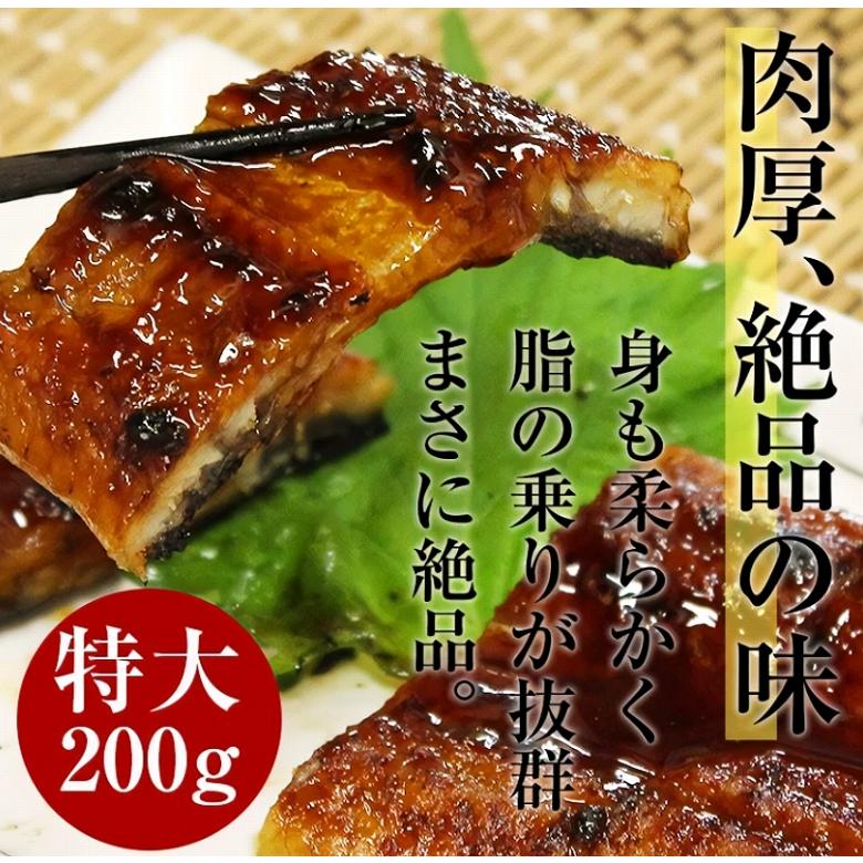 敬老の日 ウナギ うなぎ 蒲焼き 白焼きセット うなぎ蒲焼 鰻白焼き  国産 白焼き 各200ｇ １尾 合計2尾 特大 敬老の日 丑の日