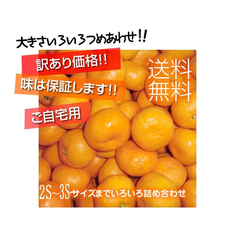 みかん 訳あり 小玉 5kg 送料無料 和歌山 ご自宅用 箱買い