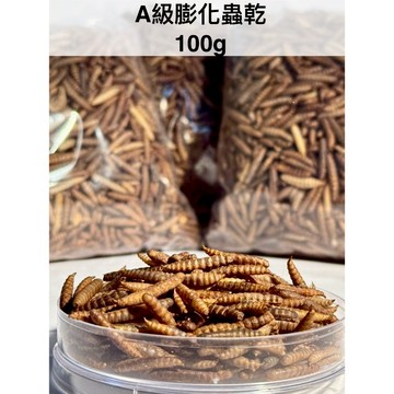 A級澎化蟲乾【黑水虻澎化蟲乾】寵物/睡鼠/守宮/烏龜/蜜袋鼯/刺蝟/水族/蝦/蜥蜴/柯爾鴨/龍魚/澤龜/狐蒙/倉鼠/鸚鵡