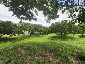 瑞穗溫泉鄉柚子園農地14F400｜花蓮縣瑞穗鄉瑞穗段