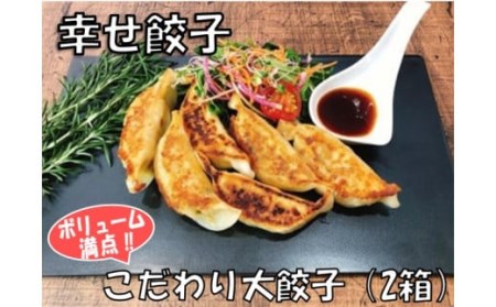 006-20幸せ餃子のボリューム満点こだわり大餃子（2箱）