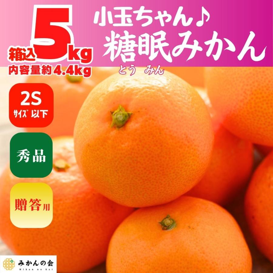 熟成 みかん 小玉ちゃん 秀品 箱込 5kg 内容量 4.4kg 2S サイズ以下 有田みかん 和歌山県産 産地直送 贈答用 