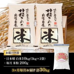 ふるさと納税 令和5年産 日本晴 10kg 全3回 近江米 新米 米粉 200g付 滋賀県竜王町