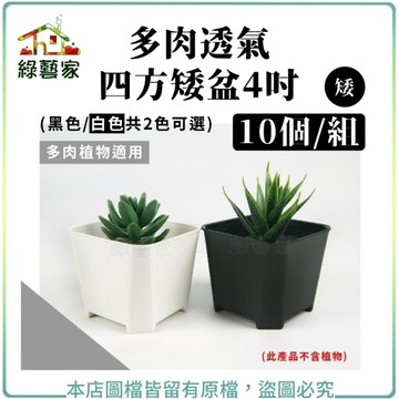 【綠藝家】多肉透氣四方矮盆4吋 (矮) 黑色10個/組