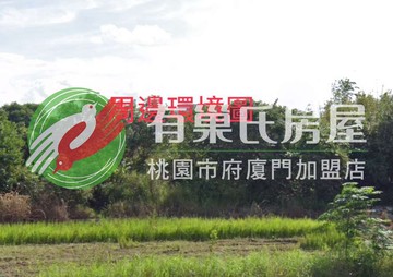 **超新開案**航空城二期區段徵收範圍八股段都內農｜桃園市蘆竹區八股段