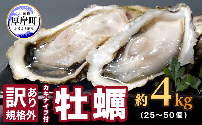 訳あり 牡蠣 北海道厚岸産 殻付カキ 約4kg (25から50個) カキナイフ付 生食