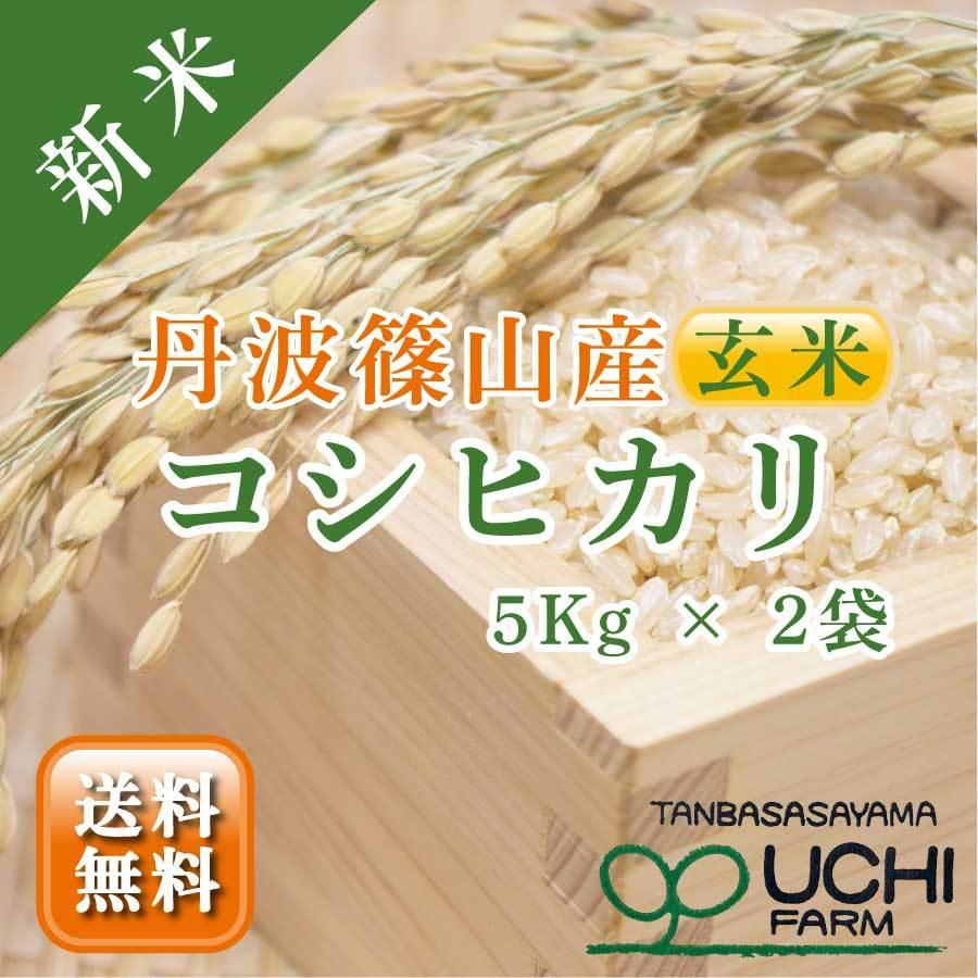 お米 玄米 送料無料 コシヒカリ 兵庫県 丹波篠山産 減農薬 循環型農法 ひょうご安心ブランド 一等米 令和5年10kg