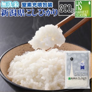  新米 令和5年産 無洗米 新潟県産コシヒカリ300g(2合)  ポイント消化に!