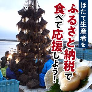 ふるさと納税  北海道産冷凍ホタテ貝柱1kg サイズ不選別（500g×2パック）刺身用＜森水産加工業協同組合＞ 小.. 北海道森町