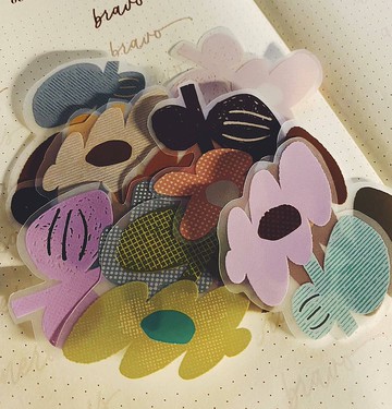 【什物】HiFlower PET |  Gentle