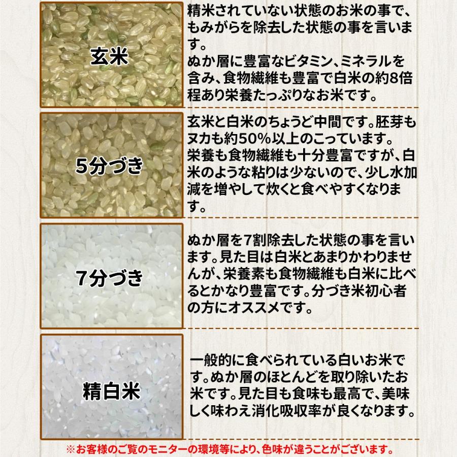 お米 20kg 宮城県産 つや姫 令和5年産 送料無料