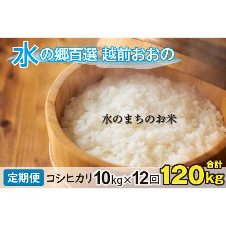 ふるさと納税 こしひかり 10kg×12回 計120kg「エコファーマー米」水のまちのお米 [M-003001] 福井県大野市