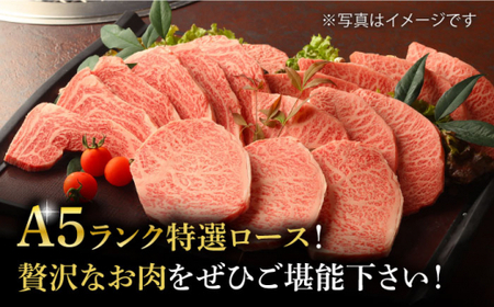  長崎和牛 A5 特選 ロース 極厚 焼肉 700g 回 [DBJ012]  長崎 小値賀 牛 牛肉 黒毛和牛 焼肉 等級 定期便