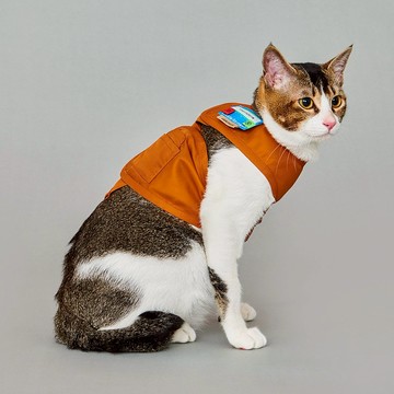 yama paws / alps 橘色背心