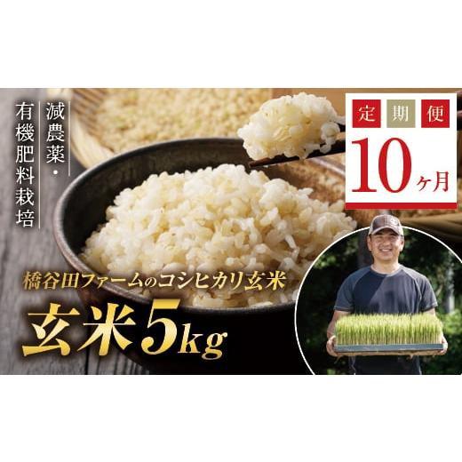 ふるさと納税 福島県 西会津町 《定期便10ヶ月》減農薬・有機肥料栽培 西会津産米コシヒカリ 玄米 5kg 米 お米 おこめ ご飯 ごはん 福島県 西会津町 F4D-0395