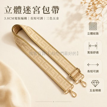 台灣出貨✨ 3.8CM 編織包帶 立體迷宮紋路 金屬調節扣 替換式肩帶 手提包斜挎包適用 長短可調 黑銀金三色扣