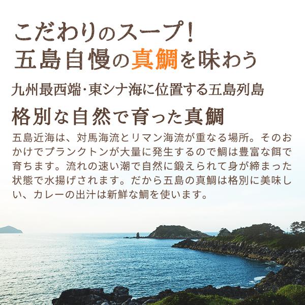 五島の鯛で出汁をとったあまくちのかんころカレー 4袋 有機JAS取得 28アレルゲン不使用　送料無料