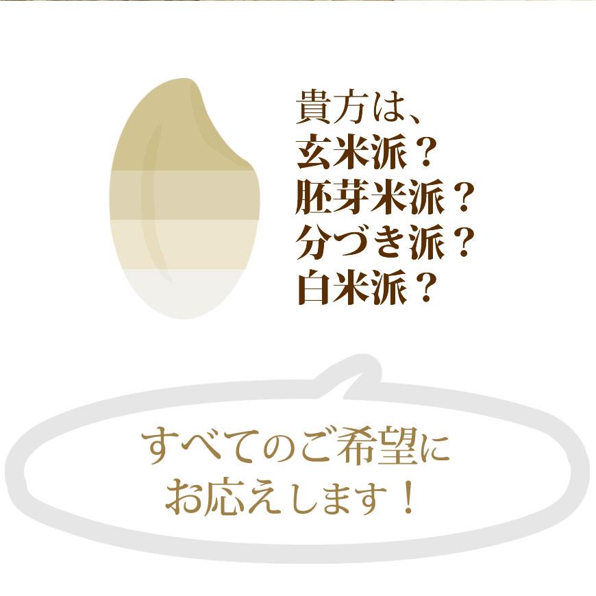 米 お米 5kg さがびより 5kg×1袋  令和4年産  お祝い お歳暮 ギフト お取り寄せグルメ 佐賀県 特A