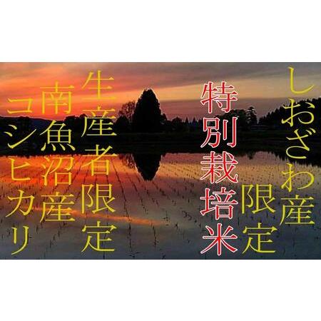 ふるさと納税 特別栽培 しおざわ産限定 生産者限定 南魚沼産コシヒカリ 新潟県南魚沼市