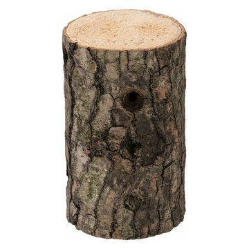 PetBest 蟲森林國產優質產卵木 7~9cm  1個  原木色