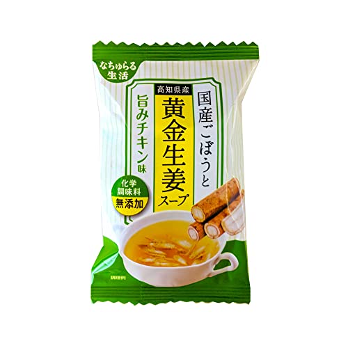 イー有機生活 国産ごぼうと黄金生姜スープ 9g 10袋