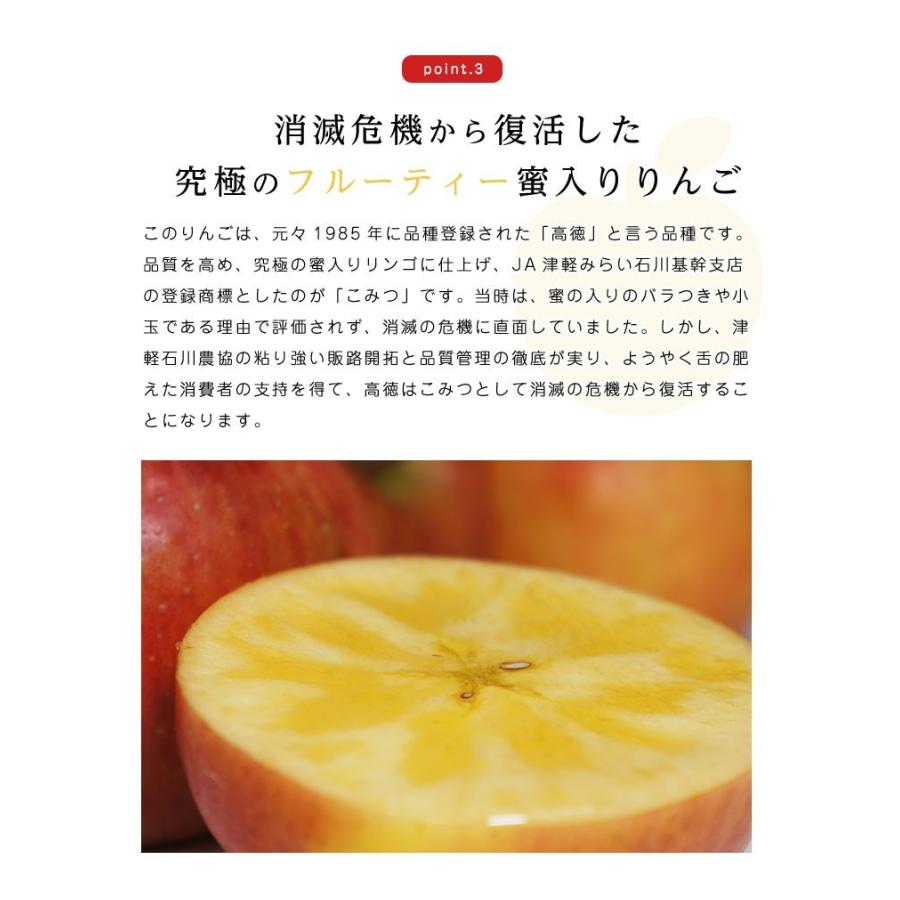 送料無料 青森県産 りんご こみつ(少し訳あり)6〜13玉 約2kg