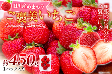 あまおう『ごほうびいちご』田川産あまおう 450g ＜2024年1月以降順次発送予定＞ あまおう いちご 苺 大粒 フルーツ 果物 お取り寄せ ご当地グルメ 福岡土産 取り寄せ グルメ 福岡県 食品