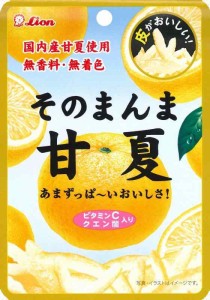 ライオン菓子 そのまんま甘夏 25g ×6個