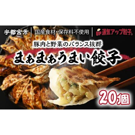 ふるさと納税 宇都宮餃子　まあまあウマイ餃子20個　保存料不使用 栃木県宇都宮市