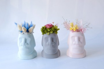 【摩艾巨人】 灰色/藍色/粉色/不凋花/永生花/乾燥花/盆栽
