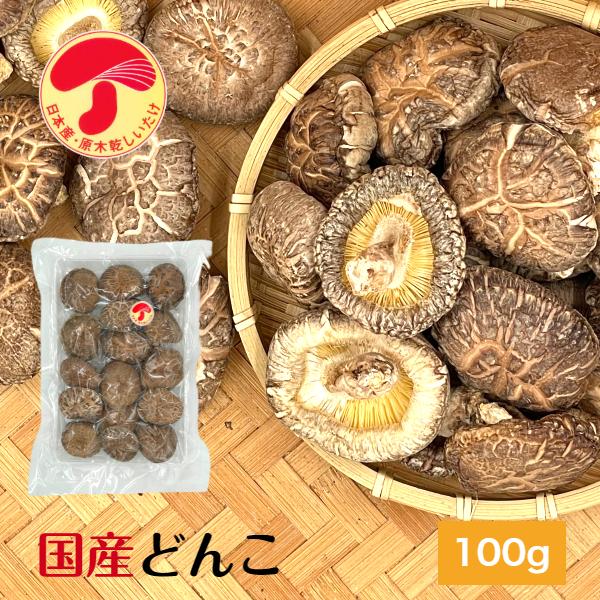 干し椎茸 国産 どんこ 100g 肉厚 原木栽培 西日本産 無農薬 しいたけ 椎茸 シイタケ 干ししいたけ 干しシイタケ