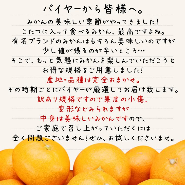 みかん 7.5kg (2.5kg×3箱) 大玉 訳あり 産地厳選 ご家庭用 2Lサイズ 常温便 同梱不可 指定日不可