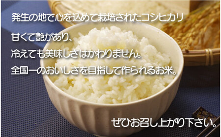 [051-k001] 定期便 ≪12ヶ月連続お届け≫無洗米 ふるさと福井県産 コシヒカリ 5kg × 12回（計60kg）