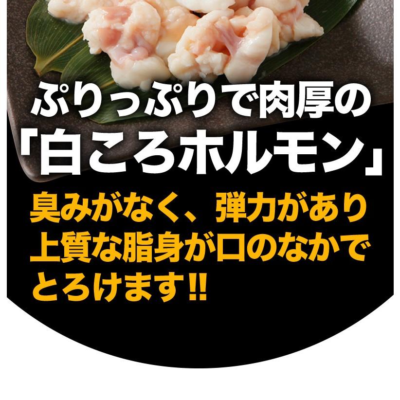 ホルモン 牛 博多 和牛小腸 九州産黒毛和牛 500g(100g x5袋) コプチャン モツ鍋 焼肉 炭火焼き クール